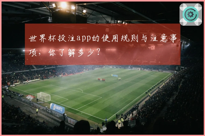世界杯投注app的使用规则与注意事项，你了解多少？