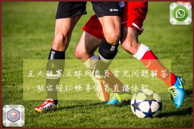 五大联赛买球网首页常见问题解答，助你轻松畅享体育直播体验