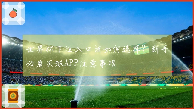 世界杯下注入口该如何选择？新手必看买球APP注意事项