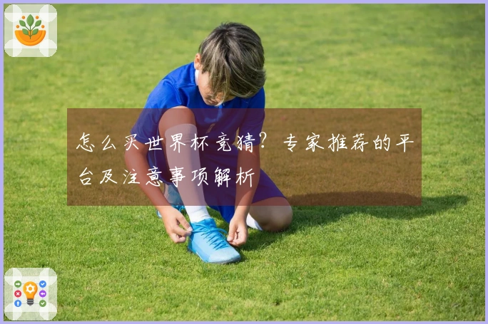 怎么买世界杯竞猜?专家推荐的平台及注意事项解析