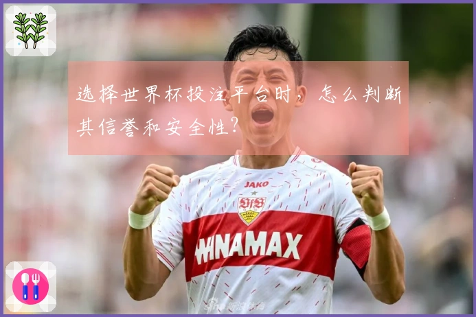 选择世界杯投注平台时，怎么判断其信誉和安全性？