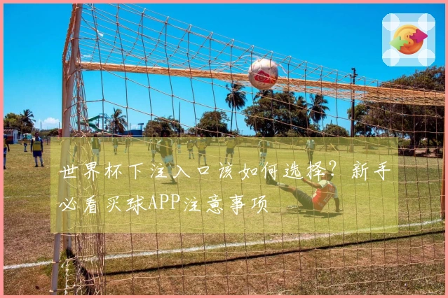 世界杯下注入口该如何选择？新手必看买球APP注意事项